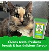 Show in main carousel: Greenies Feline Natural Dental Care Catnip Flavour Adult Cat Treats, 277-g tub slide 2 of 6