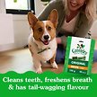 Show in main carousel: Greenies Original Petite Adult Dental Dog Treats, 10 count slide 2 of 7