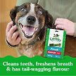 Show in main carousel: Greenies Fresh Regular Oral Care Natural Dental Dog Treats, 12 count slide 2 of 8