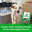 Show in main carousel: Greenies Original Regular Adult Dental Dog Treats, 36 count slide 2 of 7