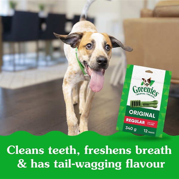 Show full view: Greenies Original Regular Adult Dental Dog Treats, 72 count slide 3 of 12
