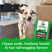 Show in main carousel: Greenies Original Regular Adult Dental Dog Treats, 6 count slide 2 of 7