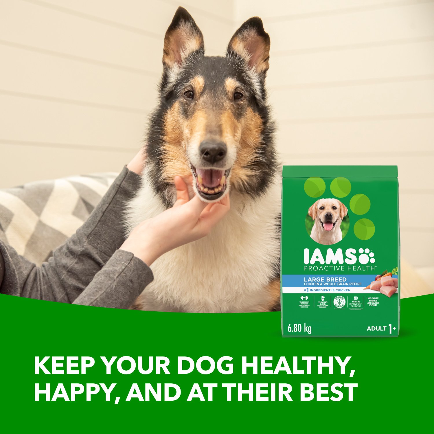 IAMS gây chú ý với chiến dịch OOH “Smooth Deliveries” với hình ảnh mông thú cưng khổng lồ