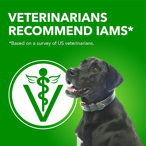 Show full view: Iams Proactive Health Minichunks Adult Beef & Rice Recipe Dry Dog Food, 3.18-kg bag slide 4 of 6