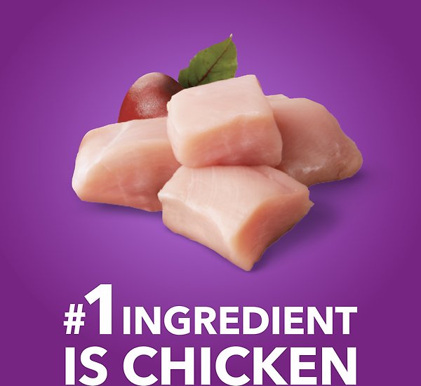 Show full view: Iams Advanced Health Mobility Support Chicken & Whole Grain Recipe Adult Dry Dog Food, 6.12-kg bag slide 3 of 6