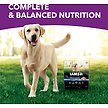 Show in main carousel: Iams Advanced Health Mobility Support Chicken & Whole Grain Recipe Adult Dry Dog Food, 6.12-kg bag slide 2 of 6