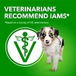 Show in main carousel: Iams Proactive Health Large Breed Puppy Chicken & Whole Grains Recipe Dry Dog Food, 6.8-kg bag slide 4 of 7