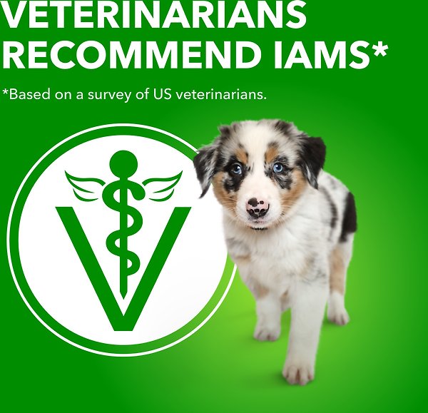 Show full view: Iams Proactive Health Puppy Chicken & Whole Grain Dry Dog Food, 1.5-kg bag slide 4 of 6