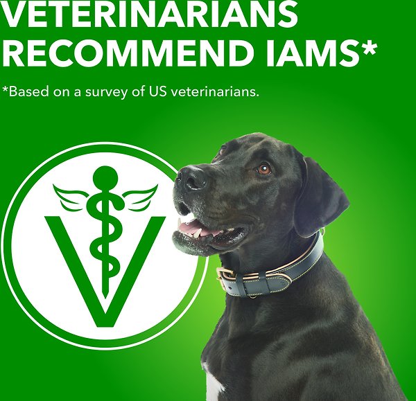 Show full view: Iams Proactive Health Chicken & Whole Grains Recipe Adult Large Breed Dry Dog Food, 6.8-kg bag slide 4 of 7