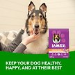 Show in main carousel: Iams Healthy Aging Mature 7+ Adult Real Chicken Dry Dog Food Real Chicken Dry Dog Food, 6.8-kg bag slide 2 of 7