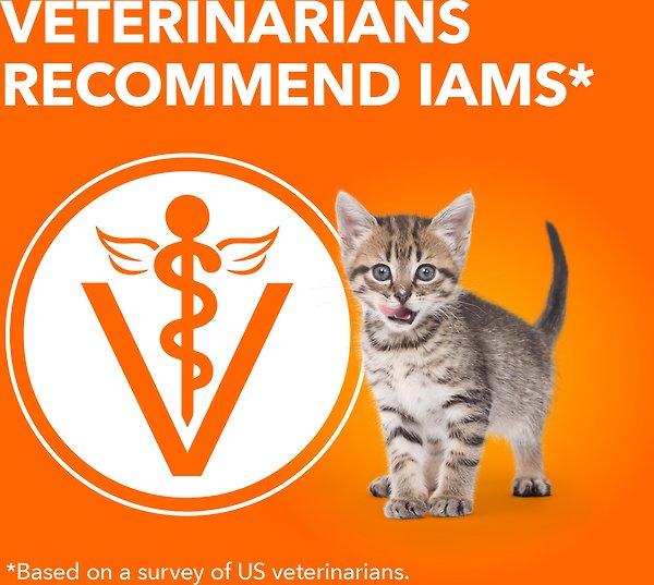 Show full view: Iams Proactive Health Healthy Kitten Chicken Dry Cat Food, 1.59-kg bag slide 4 of 7