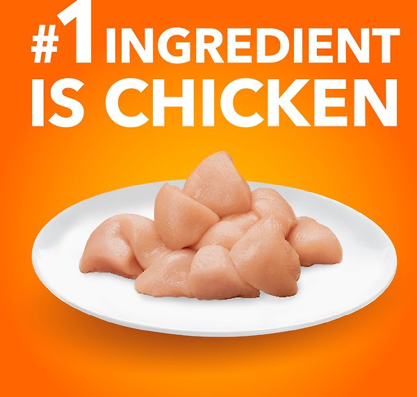 Show full view: Iams Proactive Health Healthy Kitten Chicken Dry Cat Food, 1.59-kg bag slide 3 of 7