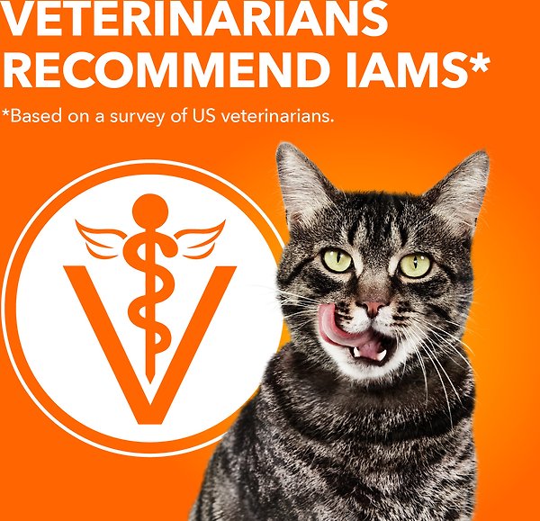 Show full view: Iams Proactive Health Healthy Enjoyment Adult Chicken & Salmon Dry Cat Food, 1.36-kg bag slide 4 of 7