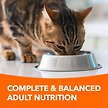 Show in main carousel: Iams Proactive Health Healthy Enjoyment Adult Chicken & Salmon Dry Cat Food, 1.36-kg bag slide 2 of 7