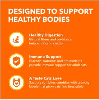 Show full view: Iams Proactive Health Healthy Enjoyment Adult Chicken & Salmon Dry Cat Food, 1.36-kg bag slide 5 of 7