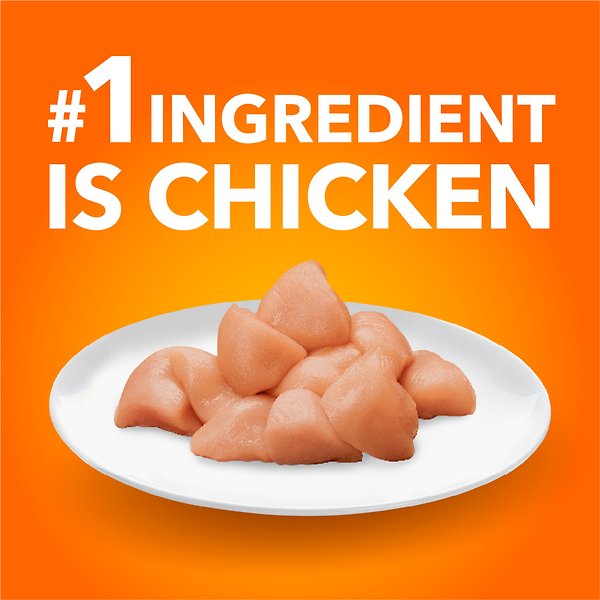 Show full view: Iams Proactive Health Healthy Adult Chicken Dry Cat Food, 7.26-kg bag slide 3 of 7