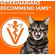 Show in main carousel: Iams Perfect Portions Variety Pack Adult Grain-Free Chicken & Tuna Cuts in Gravy Wet Cat Food, 75-g tray, case of 12 slide 6 of 6