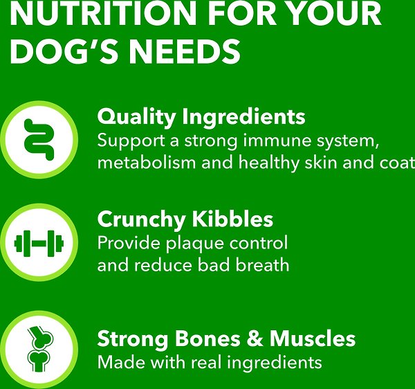 Show full view: Iams Proactive Health Minichunks Adult Chicken & Whole Grain Recipe Dry Dog Food, 1.5-kg bag slide 5 of 7