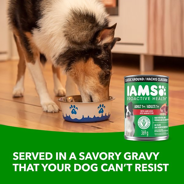 Show full view: Iams Proactive Health Adult Lamb & Rice Wet Dog Food, 369-g can, case of 12 slide 3 of 7