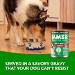 Show in main carousel: Iams Proactive Health Adult Lamb & Rice Wet Dog Food, 369-g can, case of 12 slide 3 of 7