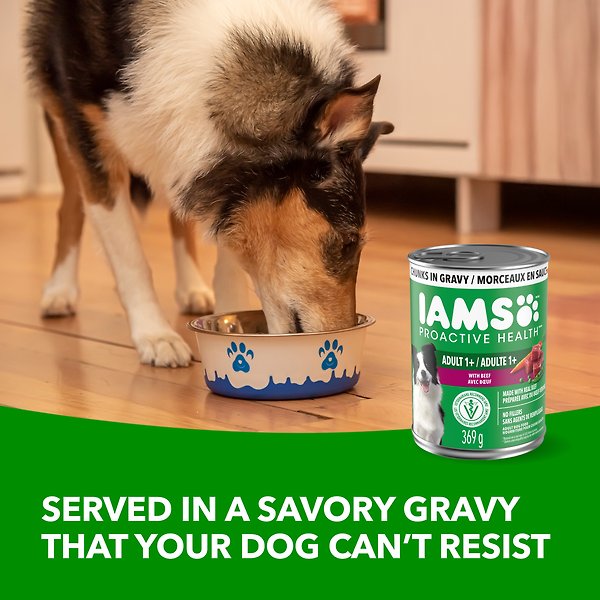 Show full view: Iams Proactive Health Adult Beef, Rice, Carrots & Green Beans Wet Dog Food, 369-g can, case of 12 slide 3 of 7
