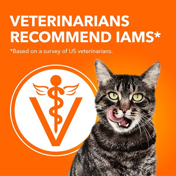 Show full view: Iams Proactive Health Urinary Tract Care with Chicken Dry Cat Food, 3.18-kg bag slide 4 of 7