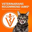 Show in main carousel: Iams Proactive Health Urinary Tract Care with Chicken Dry Cat Food, 3.18-kg bag slide 4 of 7