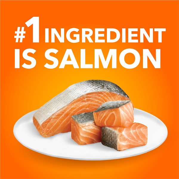 Show full view: Iams Proactive Health Indoor Weight & Hairball Care with Salmon Dry Cat Food, 7.26-kg bag slide 3 of 7