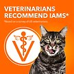 Show in main carousel: Iams Proactive Health Indoor Weight & Hairball Care with Chicken & Turkey Dry Cat Food, 1.59-kg bag slide 4 of 7