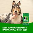 Show in main carousel: Iams Proactive Health Minichunks Adult Chicken & Whole Grain Recipe Dry Dog Food, 1.5-kg bag slide 2 of 7
