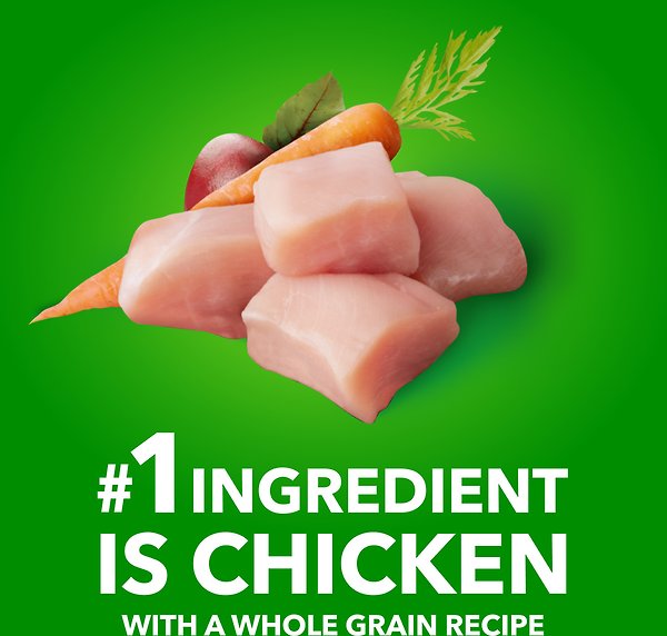 Show full view: Iams Proactive Health Minichunks Adult Chicken & Whole Grain Recipe Dry Dog Food, 1.5-kg bag slide 3 of 7