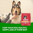 Show in main carousel: Iams Proactive Health Minichunks Adult Lamb & Rice Dry Dog Food, 13.6-kg bag slide 2 of 7