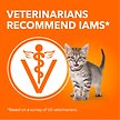 Show in main carousel: Iams Perfect Portions Kitten Grain-Free Chicken Pate Wet Cat Food, 75-g tray, case of 24 slide 6 of 7