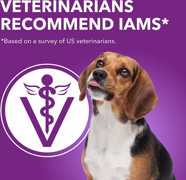 Show full view: Iams Advanced Health Skin & Coat Chicken & Salmon Adult Dry Dog Food, 12.2-kg bag slide 4 of 7