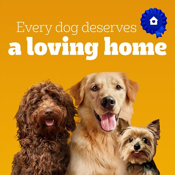 Show full view: Pedigree Marrobone Beef Flavour Dog Treats, 3-kg bag slide 6 of 7