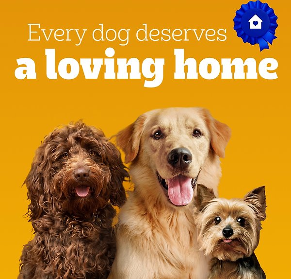 Show full view: Pedigree Vitality+ Hearty Beef & Vegetable Flavour Dry Dog Food, 20-kg bag slide 5 of 7