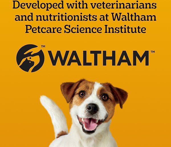 Show full view: Pedigree Dentastix Oral Care Beef Flavour Medium Dog Treats, 972-g bag  slide 5 of 7