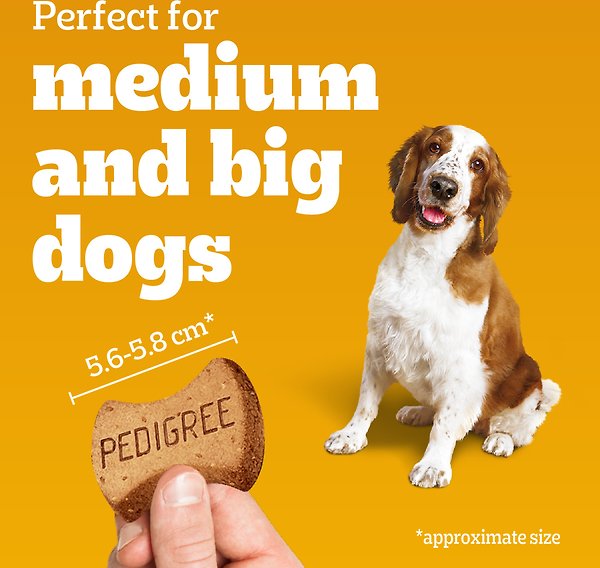 Show full view: Pedigree Breathbuster Medium & Large Crunchy Dog Treats, 500-g pouch  slide 3 of 6