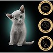 Show in main carousel: Sheba Perfect Portions Kitten Delicate Salmon Entree Pate Wet Cat Food, 75-g tray, case of 24 slide 2 of 6