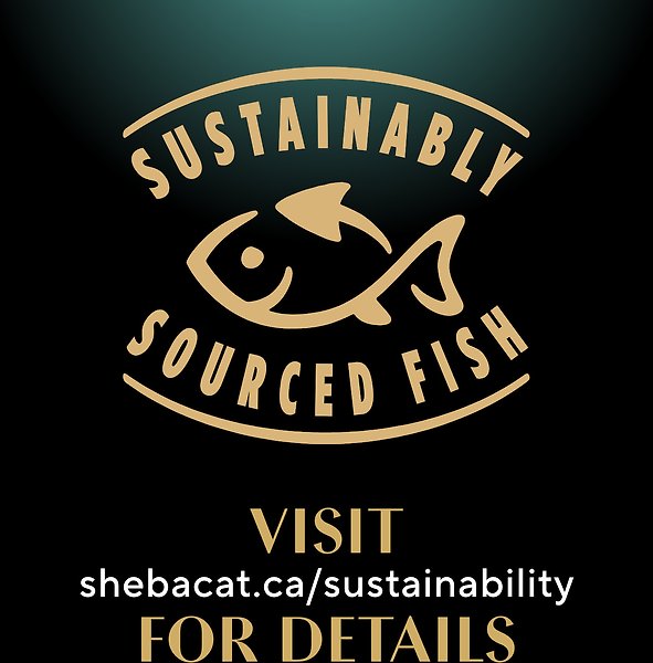 Show full view: Sheba Gravy Indulgence Salmon Entree in Extra Gravy Grain-Free Adult Wet Cat Food, 75-g tray, case of 24 slide 6 of 6