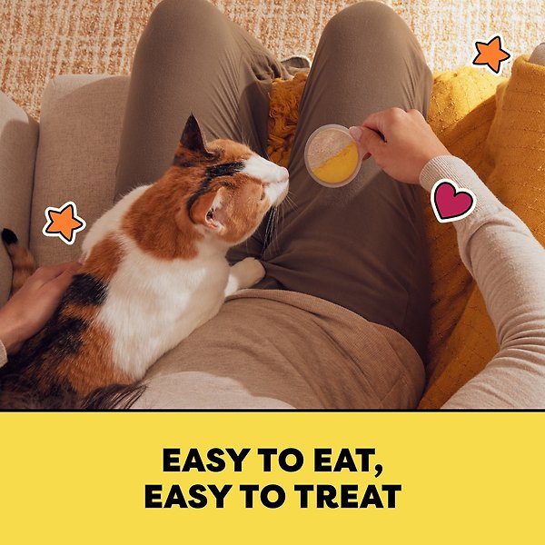 Show full view: Temptations Lickable Spoons Tasty Chicken & Savoury Salmon Flavour Lickable Cat Treats, 10-g spoon, 4 count slide 6 of 6