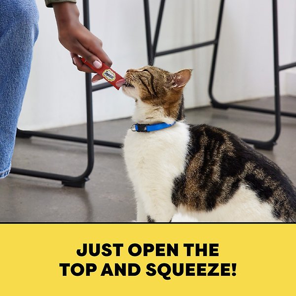 Show full view: Temptations Adult Creamy Puree with Chicken & Beef Liver Lickable Cat Treats, 12-g pouch, case of 24 slide 6 of 9