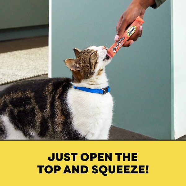 Show full view: Temptations Creamy Puree with Chicken & Salmon Variety Pack Lickable Cat Treats, 12-g pouch, pack of 16 slide 6 of 7