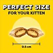 Show in main carousel: Temptations Chicken & Dairy Flavour Soft & Crunchy Kitten Treats, 180-g pouch slide 5 of 6