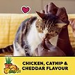 Show in main carousel: Temptations Mix Ups Chicken, Catnip & Cheddar Flavour Soft & Crunchy Cat Treats, 180-g pouch slide 6 of 7