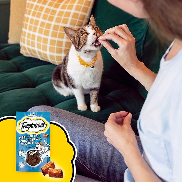 Show full view: Temptations Meaty Bites Tuna Flavour Cat Treats, 42.5-g pouch slide 9 of 13