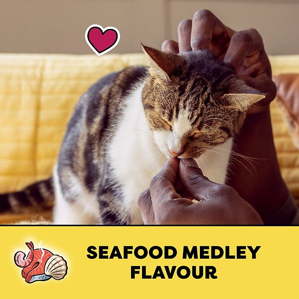 Show full view: Temptations Seafood Medley Flavour Soft & Crunchy Cat Treats, 180-g pouch slide 7 of 8