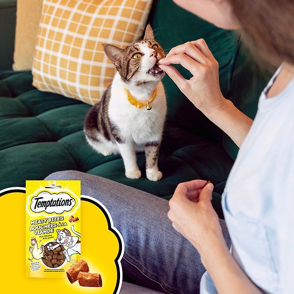 Show full view: Temptations Meaty Bites Chicken Flavour Cat Treats, 42.5-g pouch slide 5 of 6
