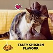 Show in main carousel: Temptations Tasty Chicken Flavour Crunchy Cat Treats, 350-g pouch slide 6 of 7