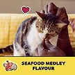 Show in main carousel: Temptations Seafood Medley Flavour Crunchy Cat Treats, 350-g pouch slide 6 of 7